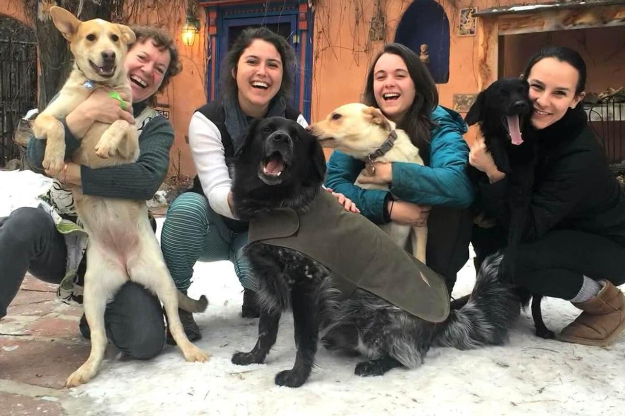 Adobe And Pines Inn Bed And Breakfast Ranchos de Taos エクステリア 写真